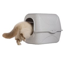 Harley Cat Litter Box